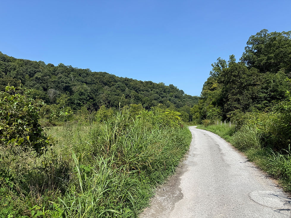 Thumbnail: 300 Old Dunbar Road, Russell Springs, KY