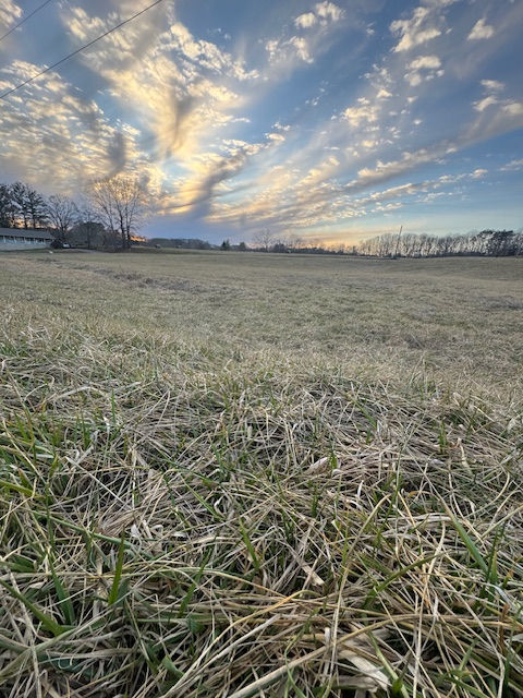 Thumbnail: 0142 Esto Heights Rd