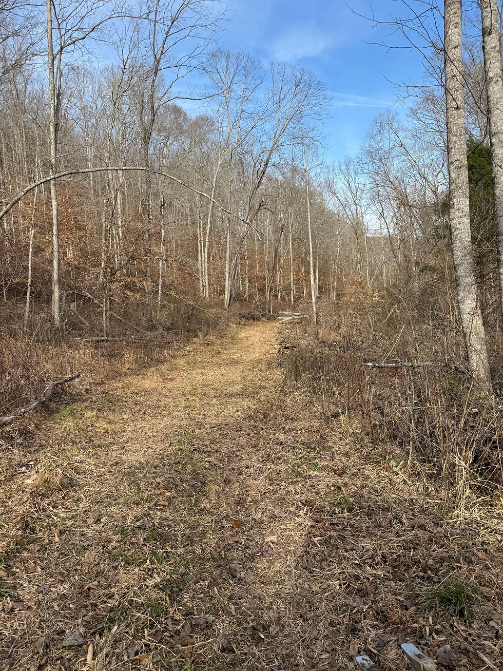 Thumbnail: 1957 Old 61 Loop Road, Breeding, Cumberland County, KY