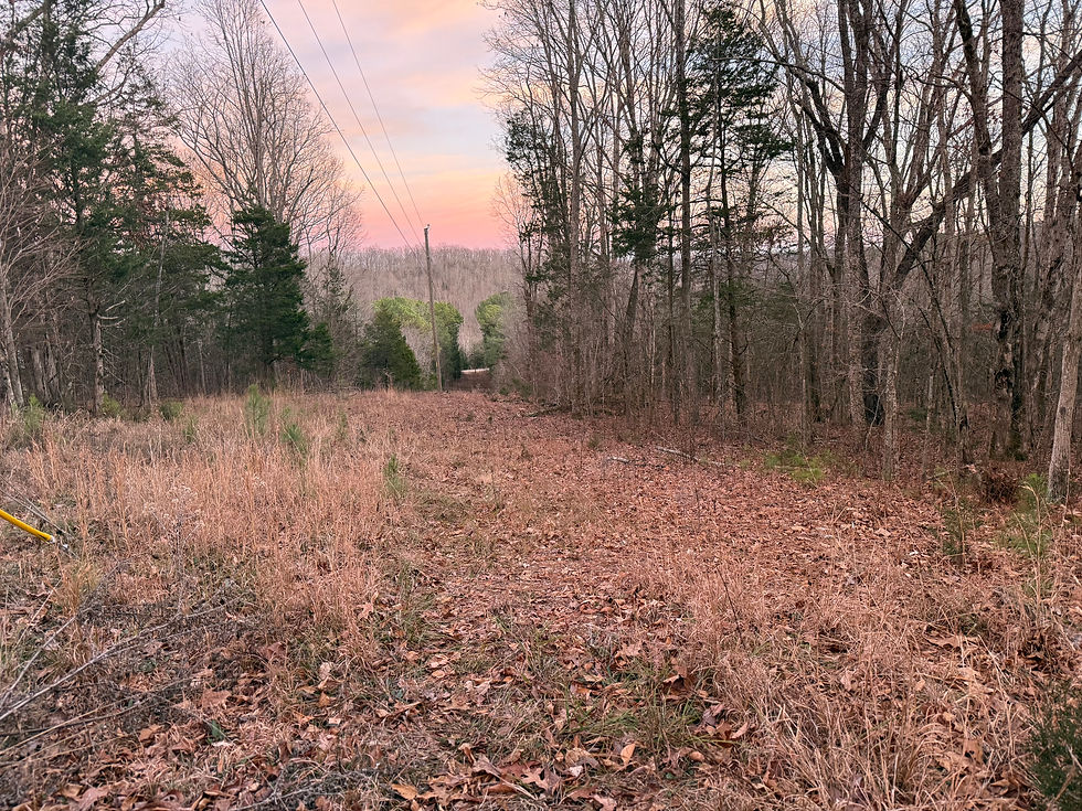 Thumbnail: 4660 Weed Keltner Road, Columbia, KY 42728