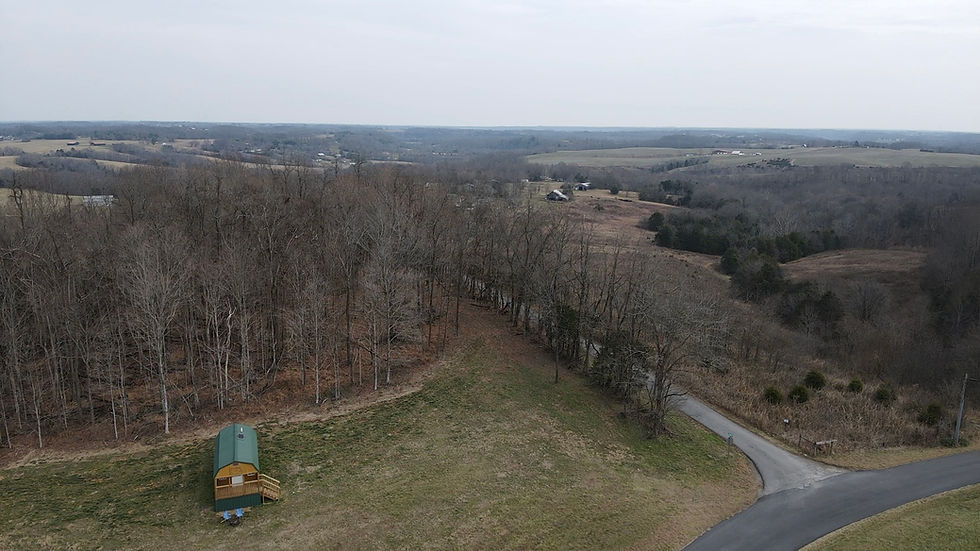 Thumbnail: 2619 Blowing Springs Road, Ebenezer, KY 42743