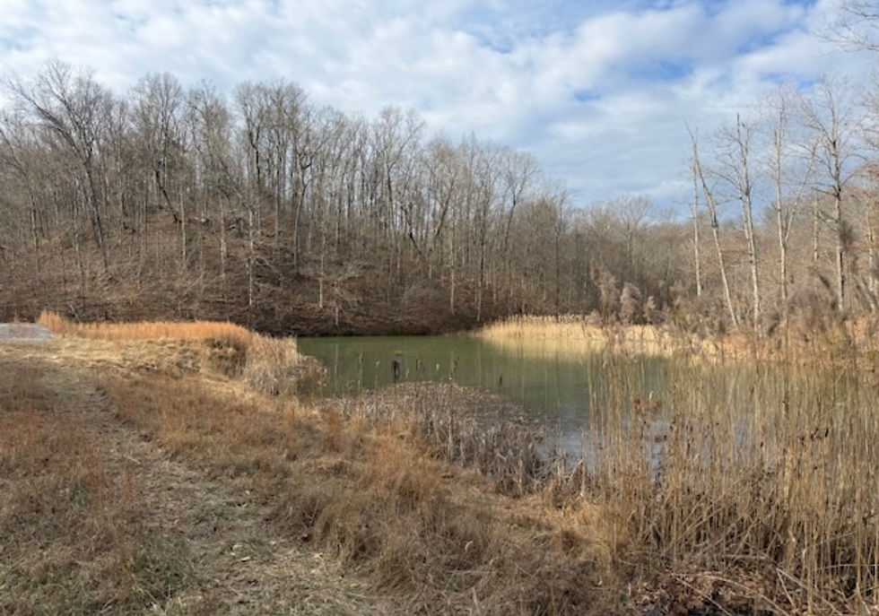 Thumbnail: 3900 Sparksville Road, Columbia, KY 42728