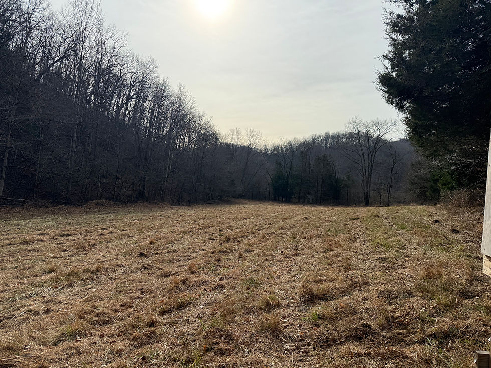 Thumbnail: 1957 Old 61 Loop Road, Breeding, Cumberland County, KY
