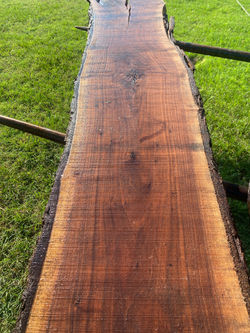 F1CB72FD-FCFE-4D58-87AB-56ED6738938C