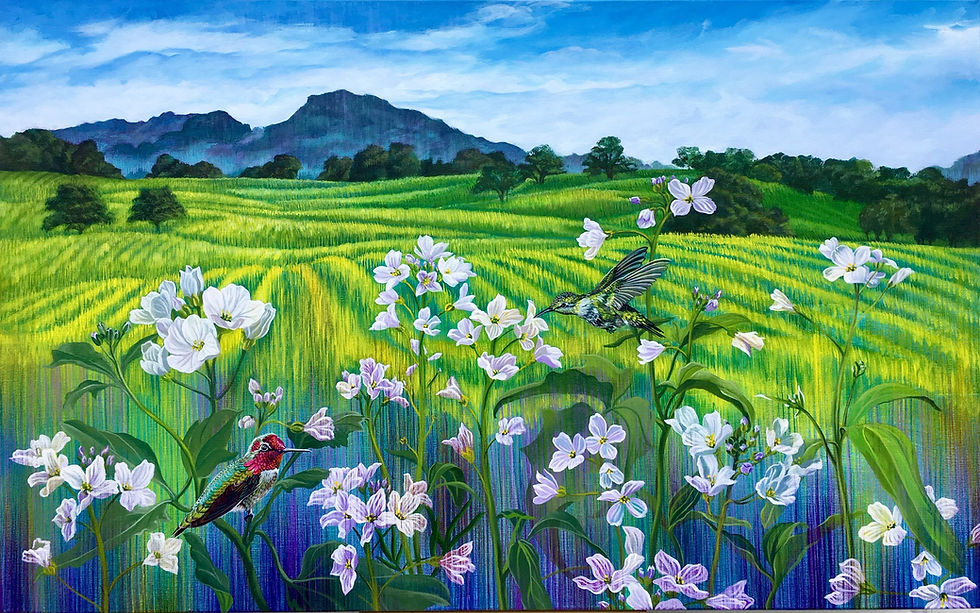 Giclée canvas print depicting Milk Maid flowers and a hummingbird in front of the Sonoma landscape