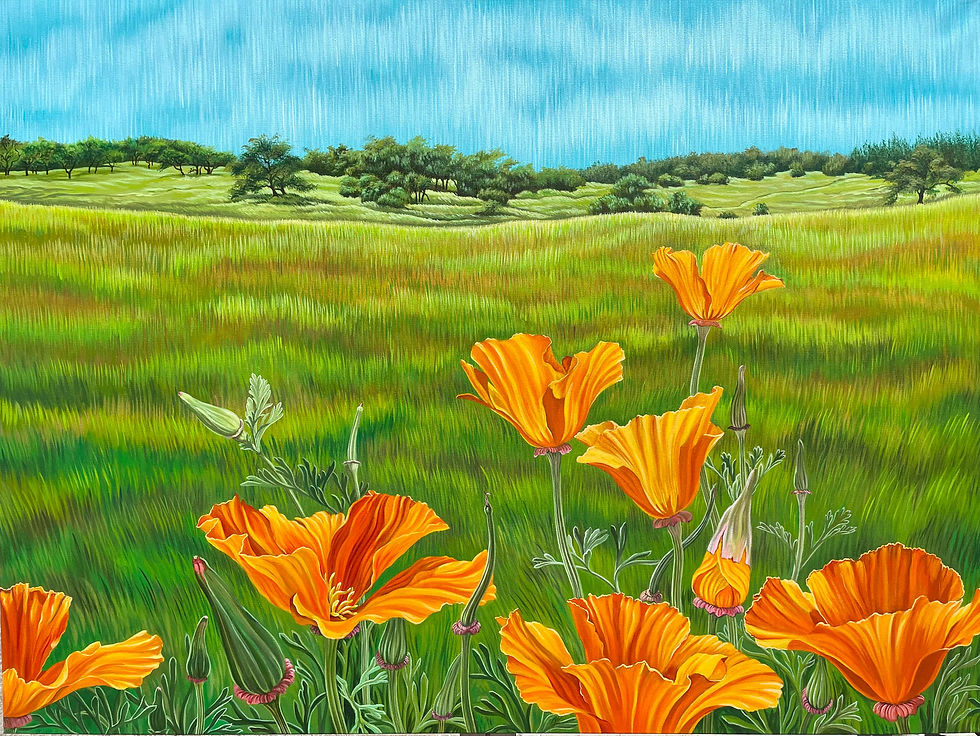 Giclée canvas print depicting the Sonoma county landscape with California poppies in the foreground