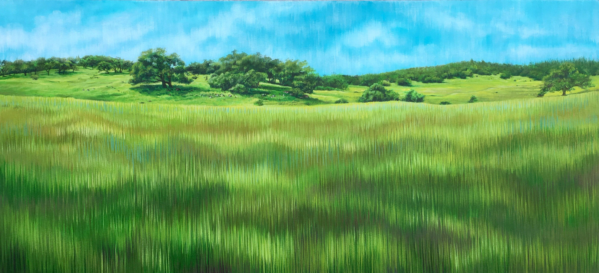 Giclée canvas print depicting a green meadow in front of Sonoma County's rolling hills