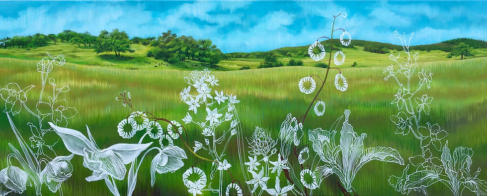 Giclée canvas print depicting California wildflowers in white in front of Sonoma County's rolling hills
