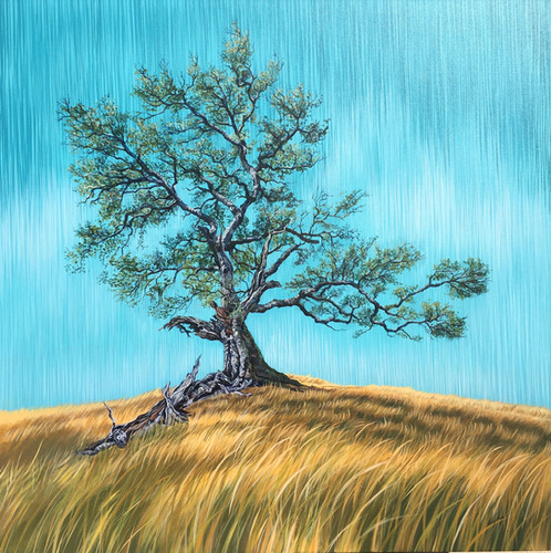 Grandmother Oak | Lucy Liew Art