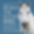 Southeast & West Florida Eagala Networking Virtual Event September 28, 2026