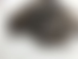 SPAGHETTI CON NERO DI SEPPIA