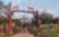 Bagor-Khetri-Jhunjhunu-Flora-1080x675.jpg
