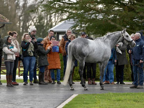 Exceptional results on the track mean this Route des Etalons remained a showcase for French optimism