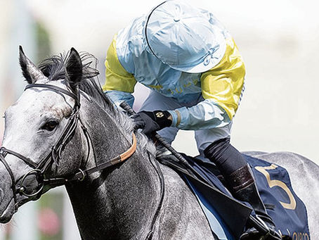 'We hope the future is going to be bright' - first arrivals for Charyn as Sumbe gears up for major year