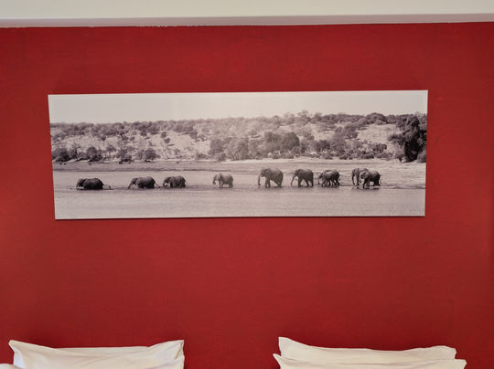 Zimmer 2 Bild | Room 2 Picture