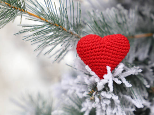 Christmas Hamper Collection