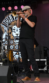 Wychwood Festival Dub Pistols
