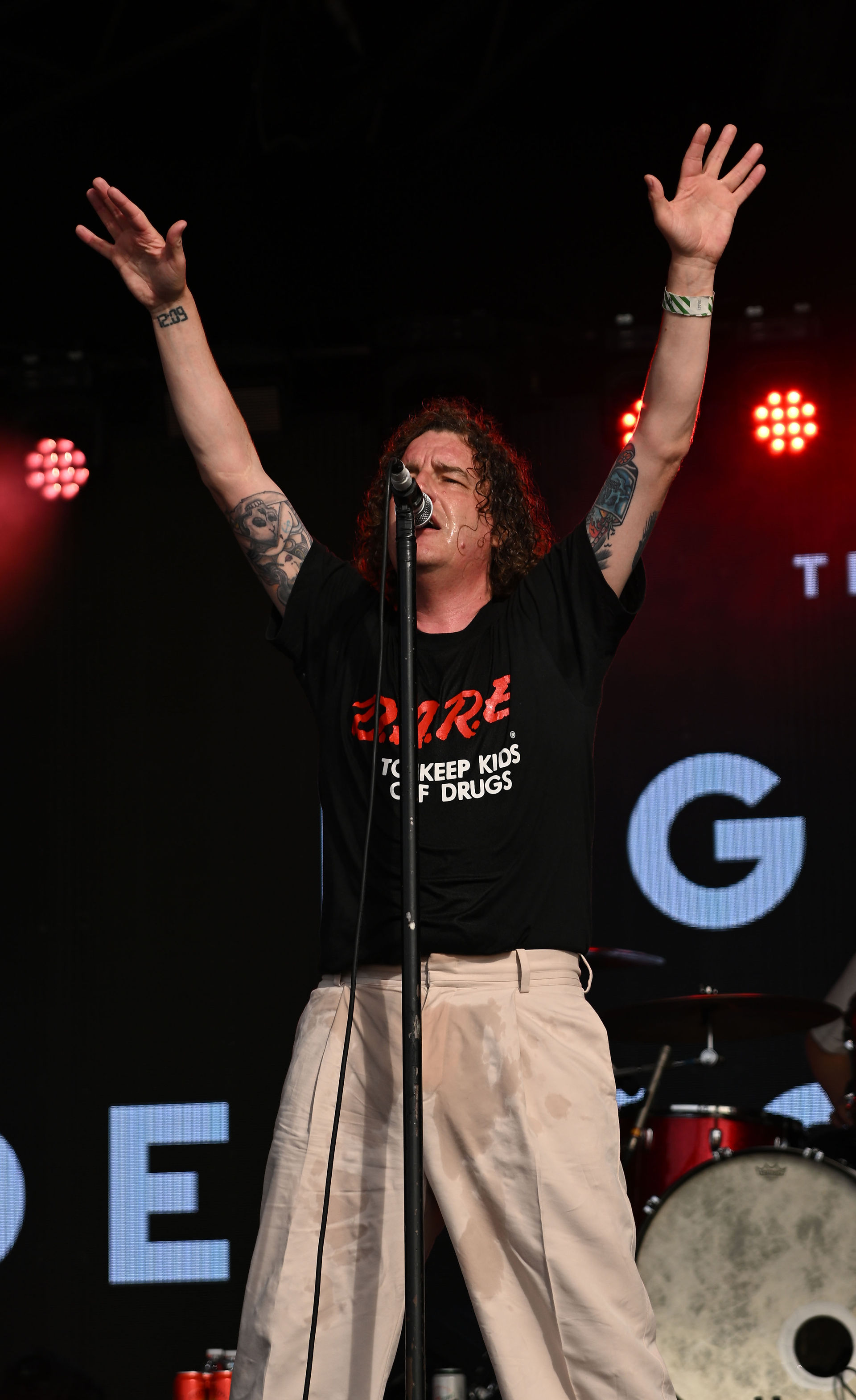 Wychwood Festival  Pigeon Detectives