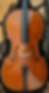 PXL_20230319_154911206_edited