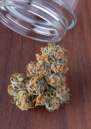 Fig Farms Krypto Chronic #1 California Cannabis Popular Strains 2022