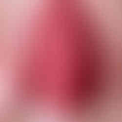 Raspberry Ruffle Shirt