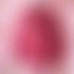 Raspberry Ruffle Shirt