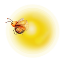 Firefly firefly bug 17586.png