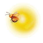 Firefly firefly bug 17586.png
