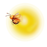 Firefly firefly bug 17586.png