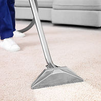 Carpet Cleaning (Paid)_edited.jpg