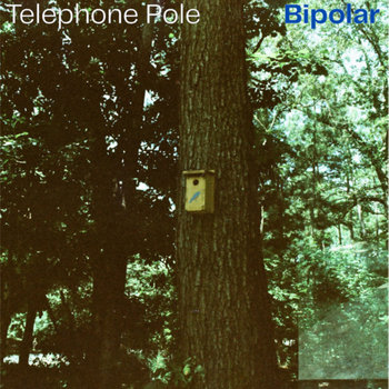 Bipolar album cover