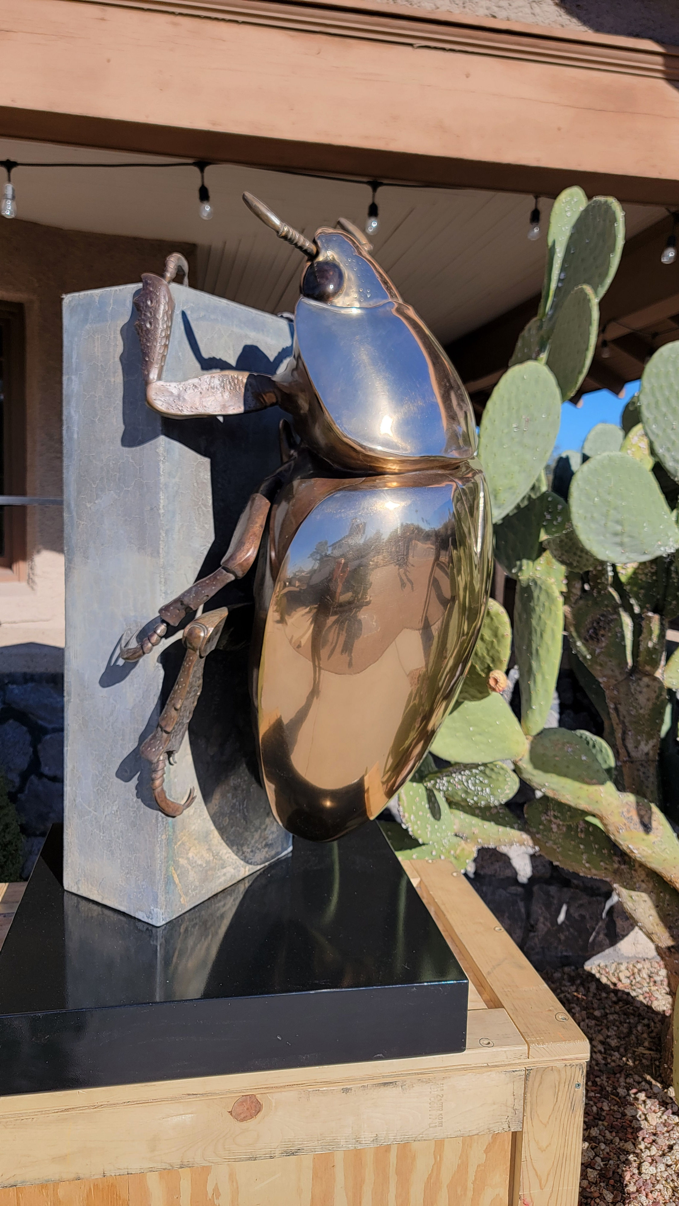 Jewel Beetle