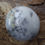 Miniature : Merlinite ou Opale mousse 85 g