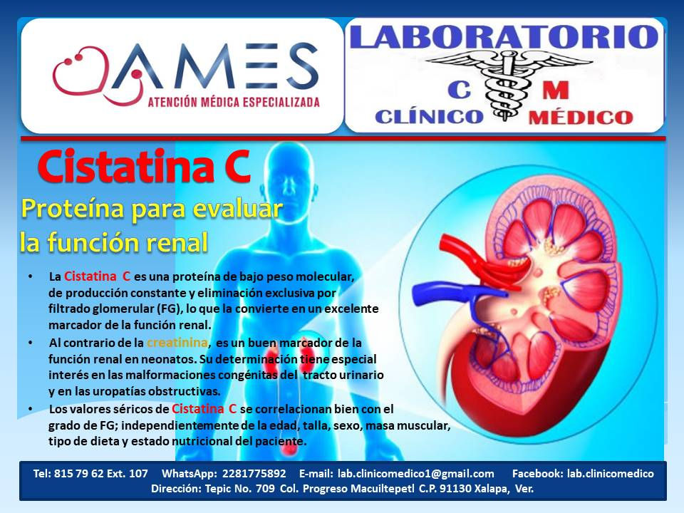 Cistanina C