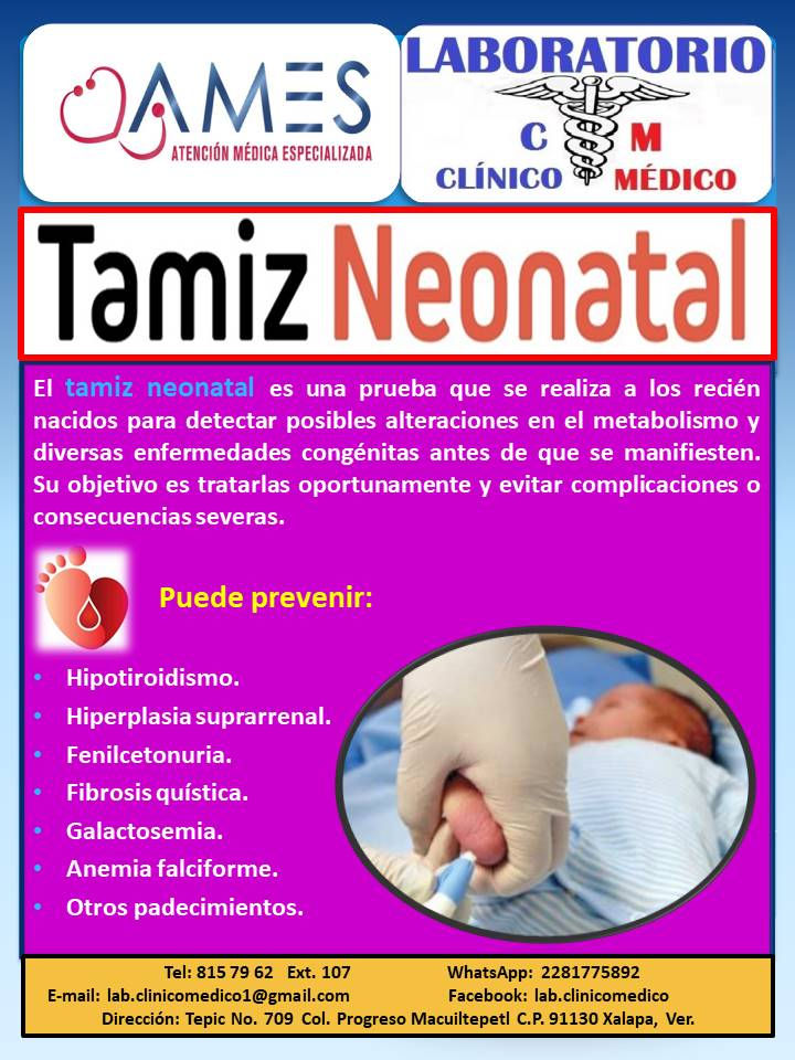 Tamiz2