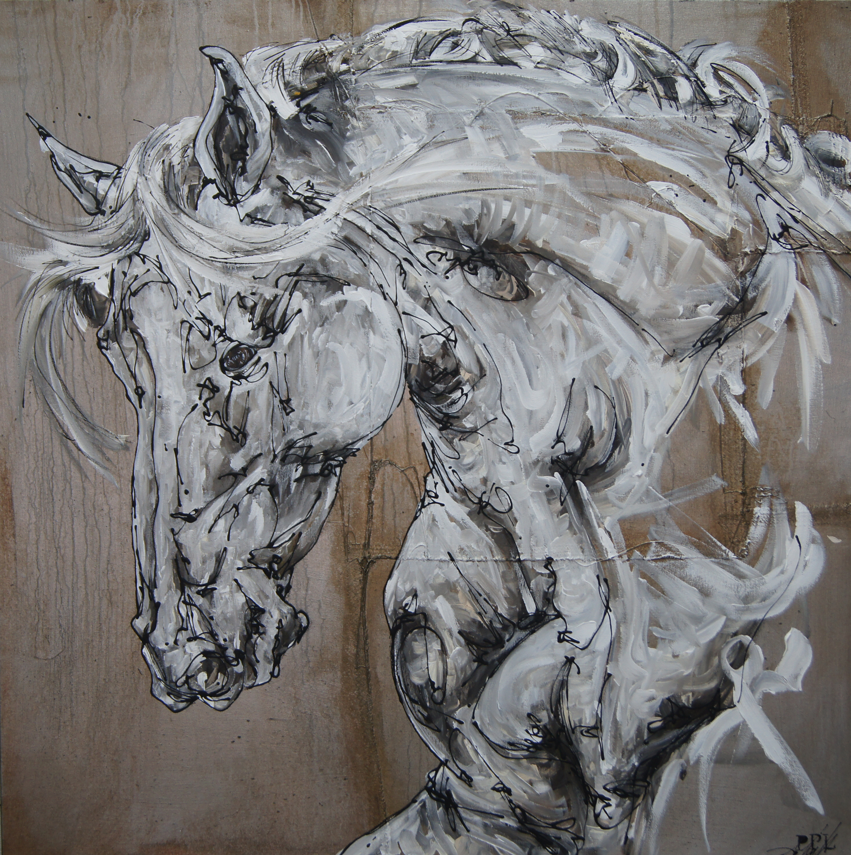 Tapit