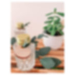 357790044_718850533584180_2568676343747335964_n