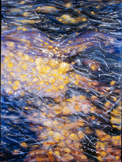 Minnehaha Creek 1