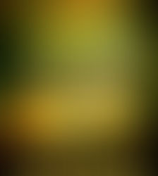 Book Review: ISLAND 731