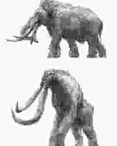 Concept art of Behemoth by Xu Tianhua
