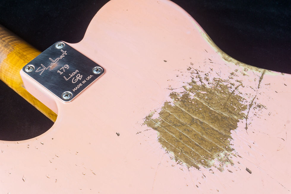 縮圖：Shabat Lion GB 179