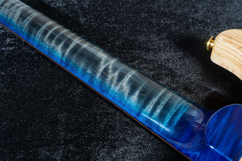 縮圖：PRS CUSTOM 24