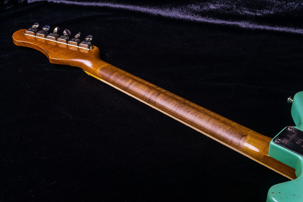 縮圖：Shabat Puma 013