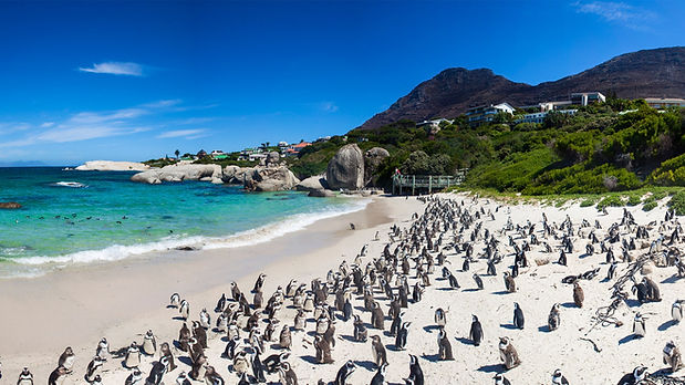 cape-point-tour-families.jpg