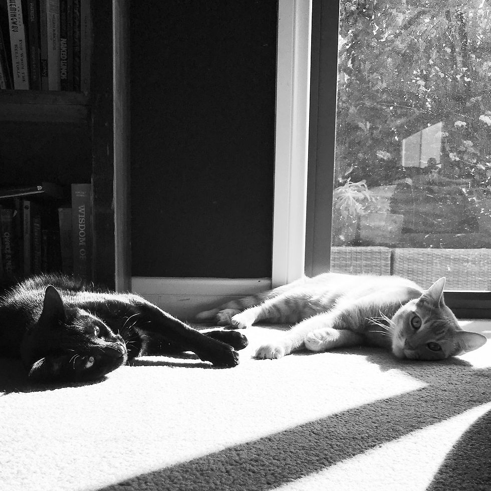 265. 22 SEP 17-Spring sunshine_insta.JPG