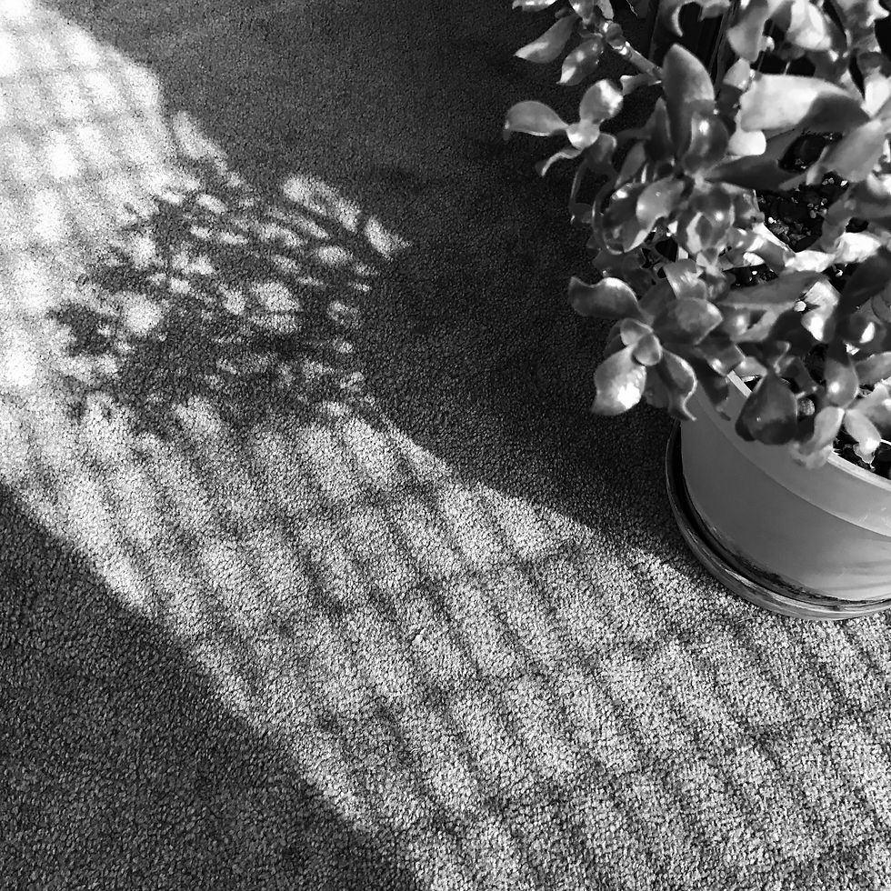 67. 8 MAR 17-And home_insta.JPG