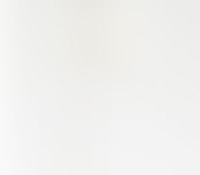 PIECE A DAY #10: BLEEDING HEART