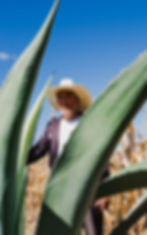 10.11.20_MX Farm edits-28.jpg