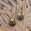 Thumbnail: Yellow Evil Eye Butterfly Earrings