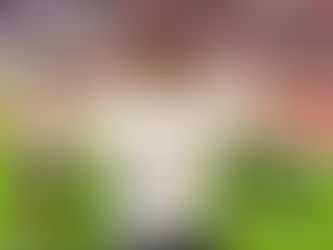 Vincent Kompany, Guide Suprême.